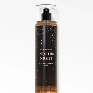 Bath & Body Works | Into the Night Splash