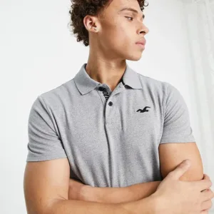 Hollister Icon and Sport Chemise