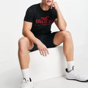 Hollister T-Shirt