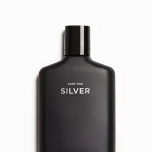 Zara Man Silver
