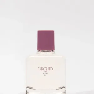 Zara Orchid